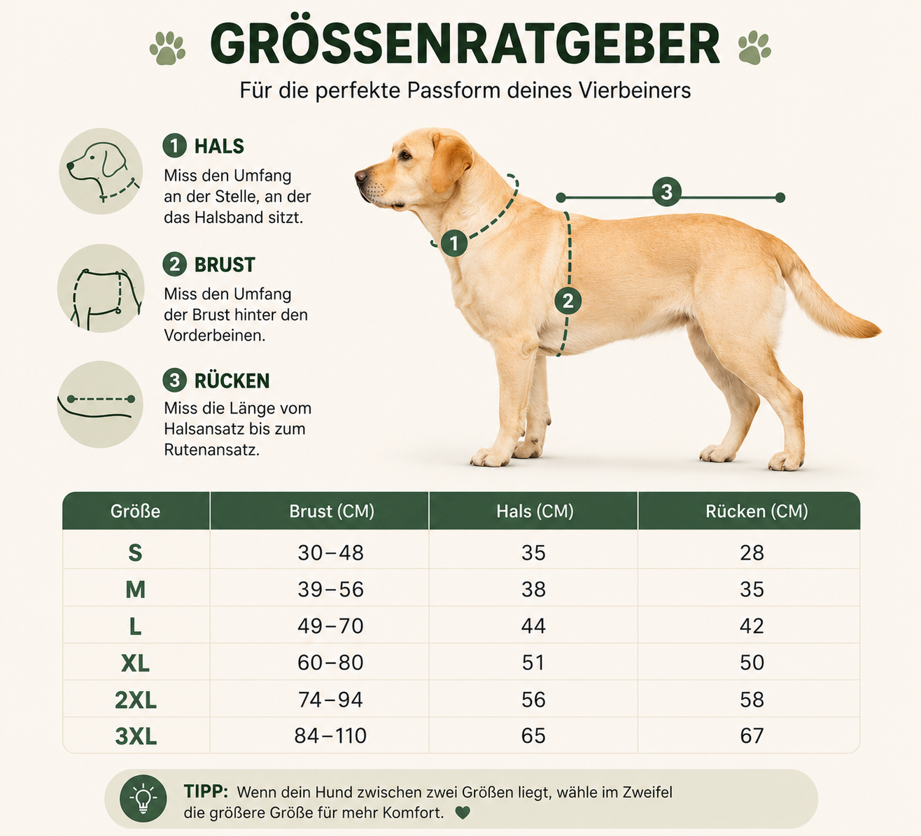Leichte atmungsaktive Kühlweste für Hunde -perfekt für die heißen Tage