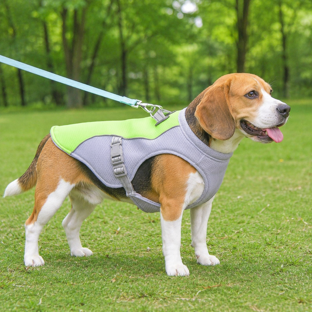 Leichte atmungsaktive Kühlweste für Hunde -perfekt für die heißen Tage